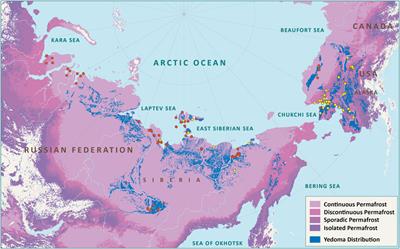 Editorial: Yedoma Permafrost Landscapes as past Archives, Present and Future Change Areas